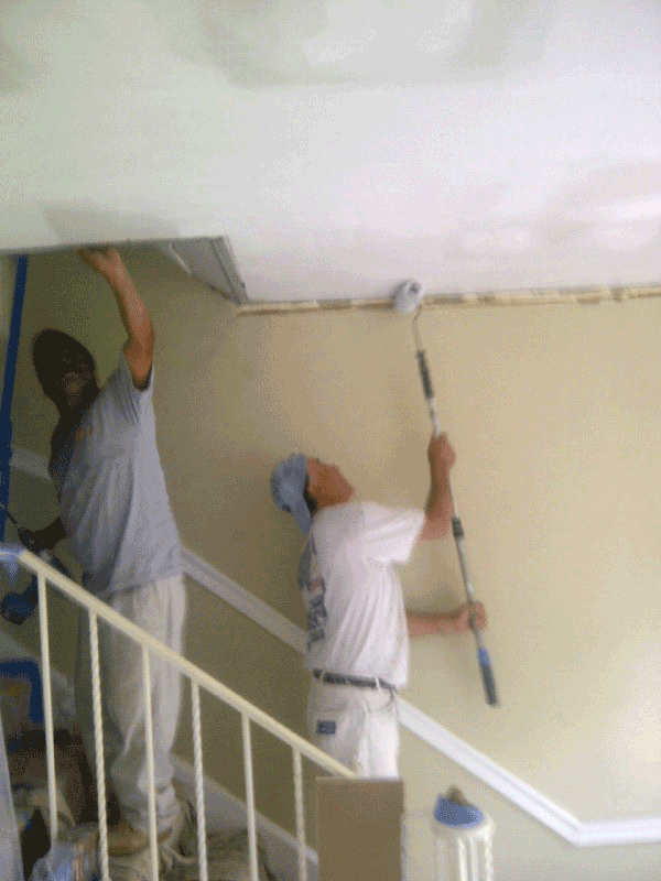 Priming And Painting A Pro Renovation Aprorenovation Com